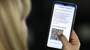 Куда нельзя без QR. Изучаем список мест в Челябинской области, в которые не пустят без кода