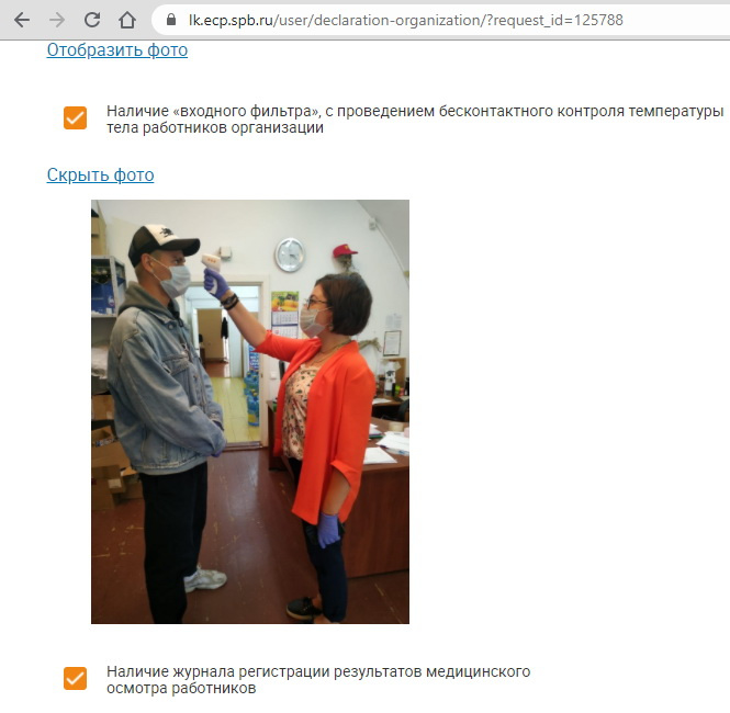 Работающие в Петропавловке фирмы отправляли в Смольный декларации с идентичными фото.