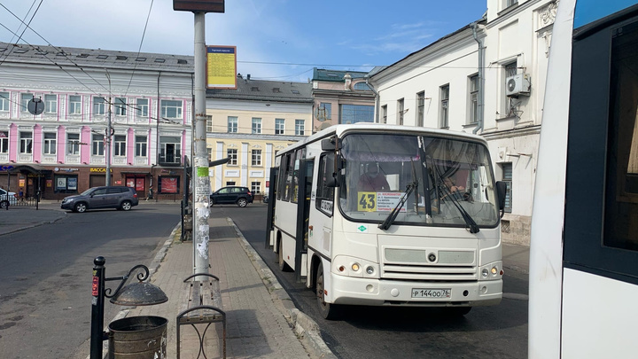 Почему по Ярославлю вместо автобусов ездят маршрутки, но с другими номерами: ответ властей