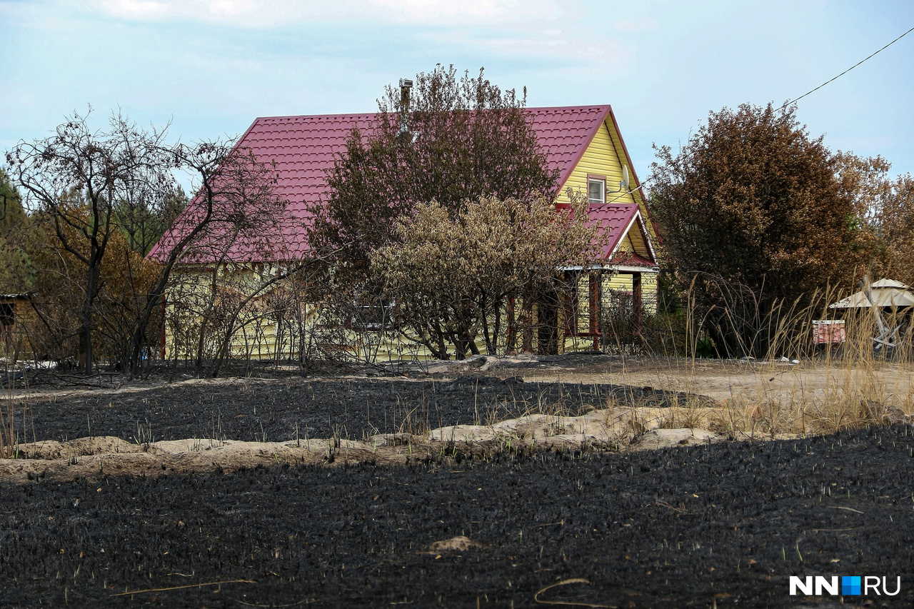 По пути на холм встречались целые дома, окруженные выжженными деревьями. Какие-то из них повреждены лишь немного, а другие и вовсе огонь обошел стороной
