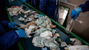 В Новосибирске начнет работать новый мусоросортировочный завод. Сколько он стоит и зачем нужен
