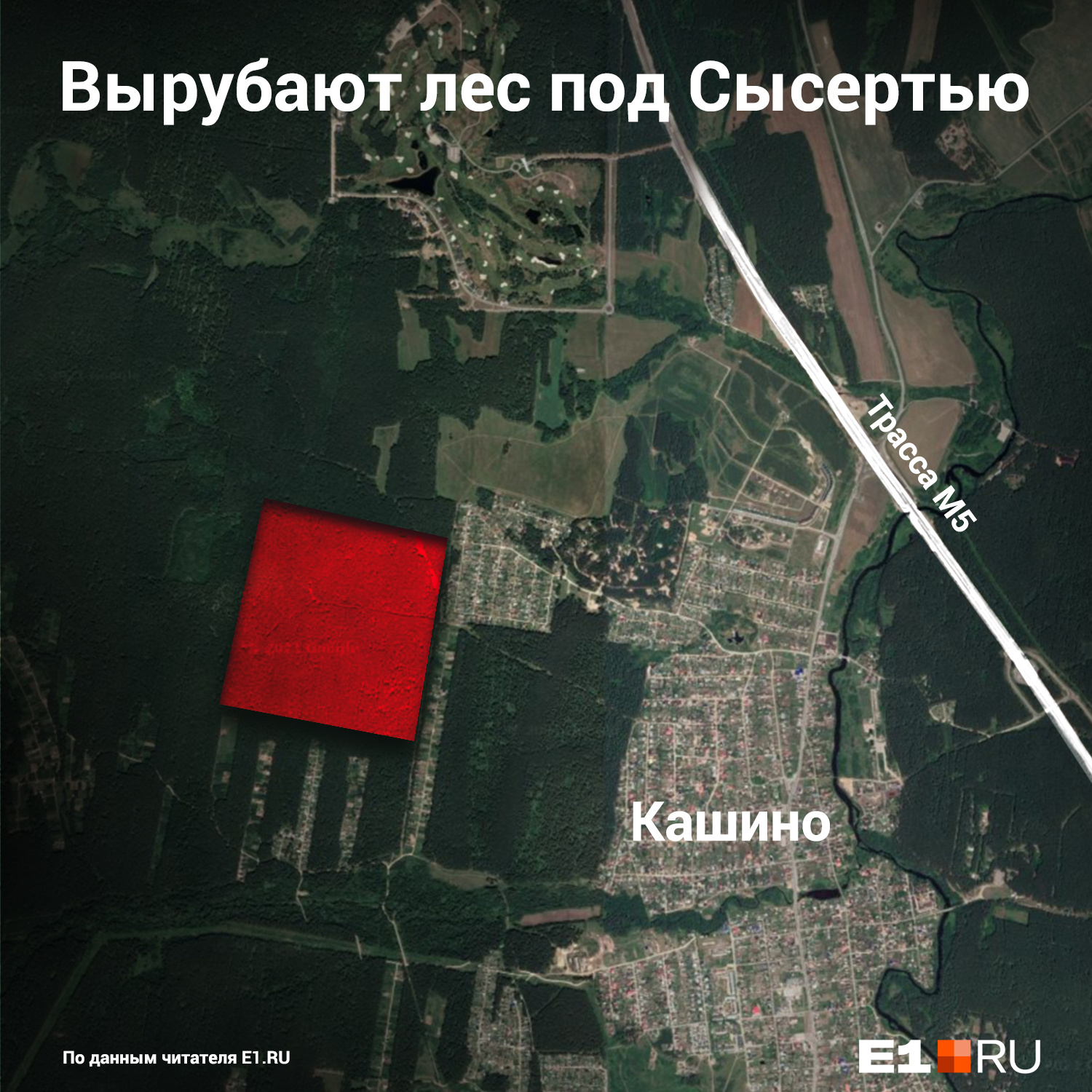 Вырубка леса идет на участке, обозначенном красным квадратом