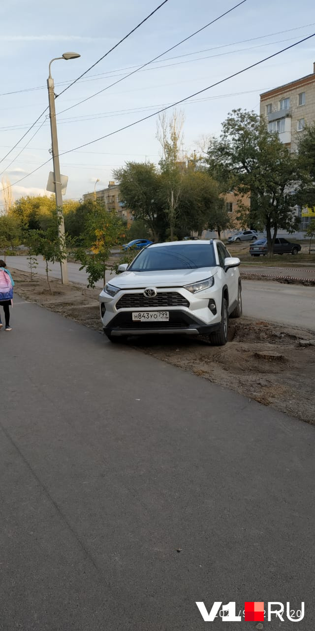 А деревья специально спилили ради парковки?