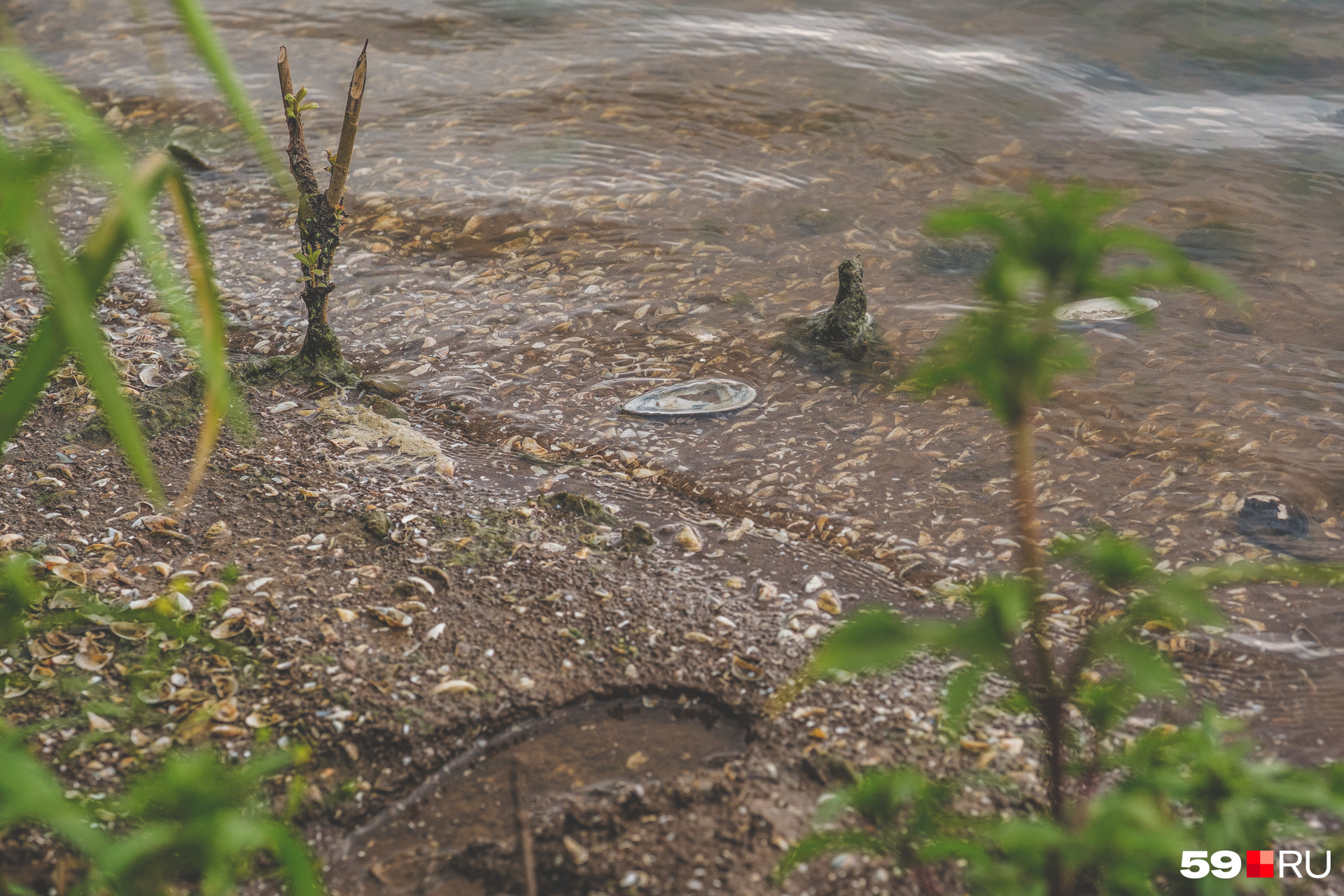 c96f403b1c70851dfa566a8b925efccc152983d24_1920