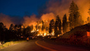 В Челябинской области поселок эвакуировали из-за лесного пожара