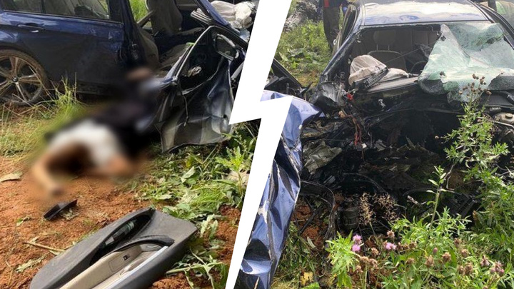Смертельное ДТП под Сысертью: водитель BMW влетел в дерево. Фото