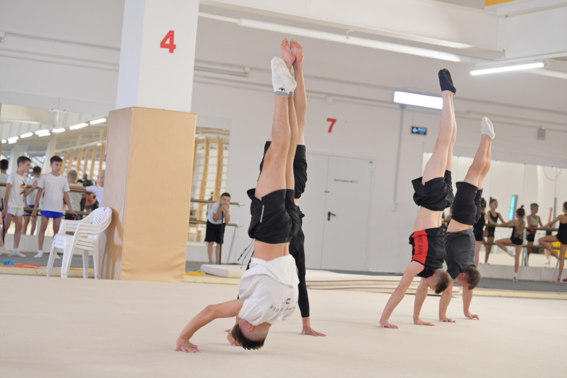 В Красноярске прошли первые тренировки по мужской художественной гимнастике