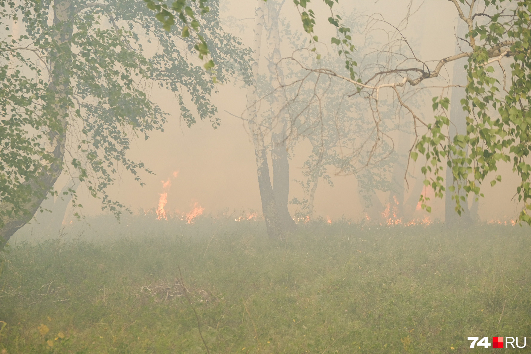 Опасность лесных возгораний — в их непредсказуемости и сложностях подъезда. Пожарная машина среди деревьев бесполезна