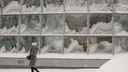 Волна тепла и снега: какую погоду на рабочей неделе обещают популярные сервисы