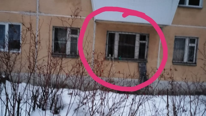 «Спускали на веревке воду в ведерке»: в Берёзовском соседи спасли собаку, запертую в квартире