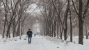В первый день весны Новосибирск накроет сильный снегопад (солнце появится лишь к концу недели)