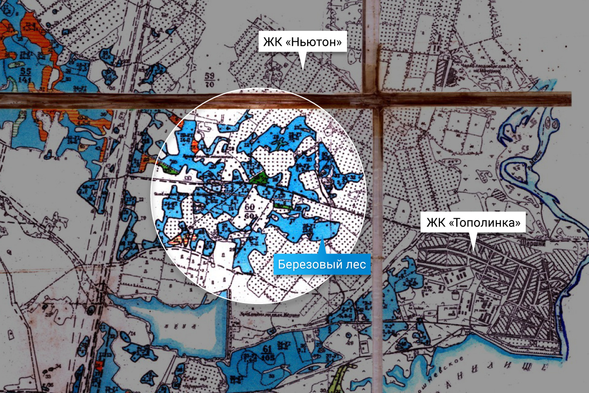 В распоряжении редакции оказалась карта Кременкульского лесничества за <nobr class="_">2014 год</nobr>. На ней видно, что спорная территория обозначена как березовый лес