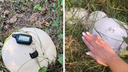«Как будто яйца дракона»: сибирячка нашла поляну с огромными грибами