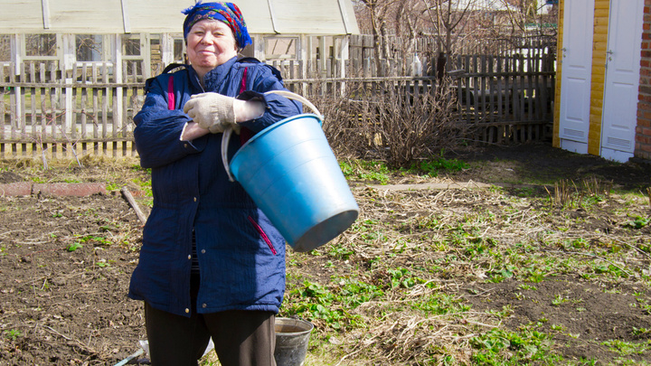 «Не превращайте сады в помойки»: «Красноярская рециклинговая компания» напомнила, куда выкидывать мусор