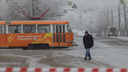 «До конечной ничего не едет»: в Волгограде остановилось движение трамваев
