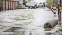 Паводок в этом году может добраться до Искитима и подтопить 3700 жилых домов