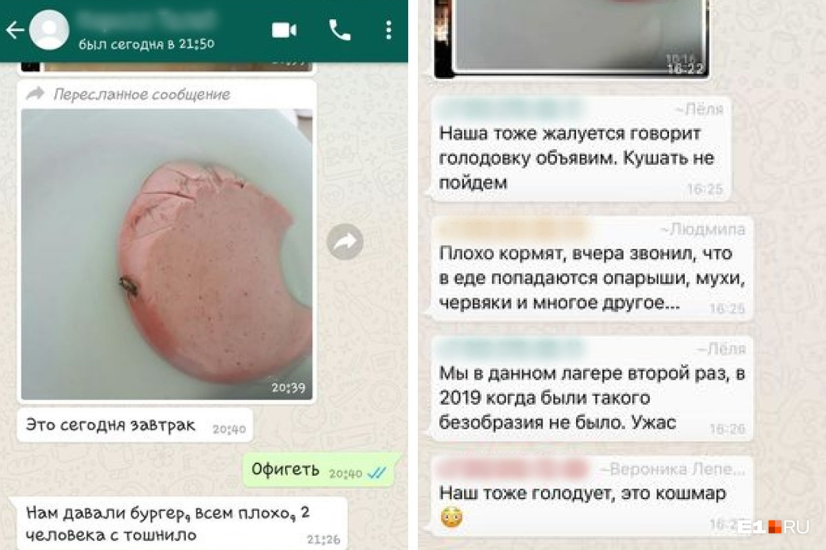 Лагерь в Анапе, где уральские школьники нашли червей в еде, попытался оправдаться за антисанитарию