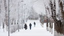 В МЧС дали прогноз, когда в Самарской области ляжет снег