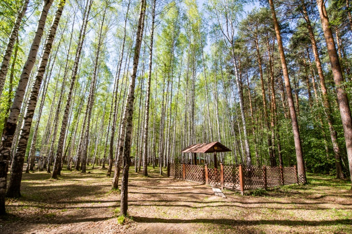 В Парке Победы можно арендовать беседку с мангальной зоной В Парке Победы можно арендовать беседку с мангальной зоной