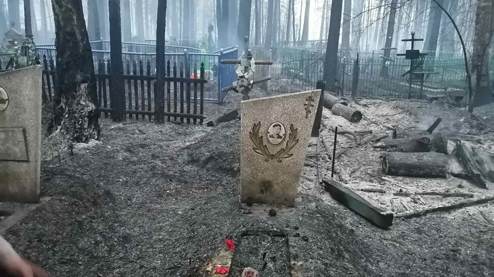 Сгорело кладбище, жители вышли защищать деревню — кадры лесного пожара в тюменском поселке