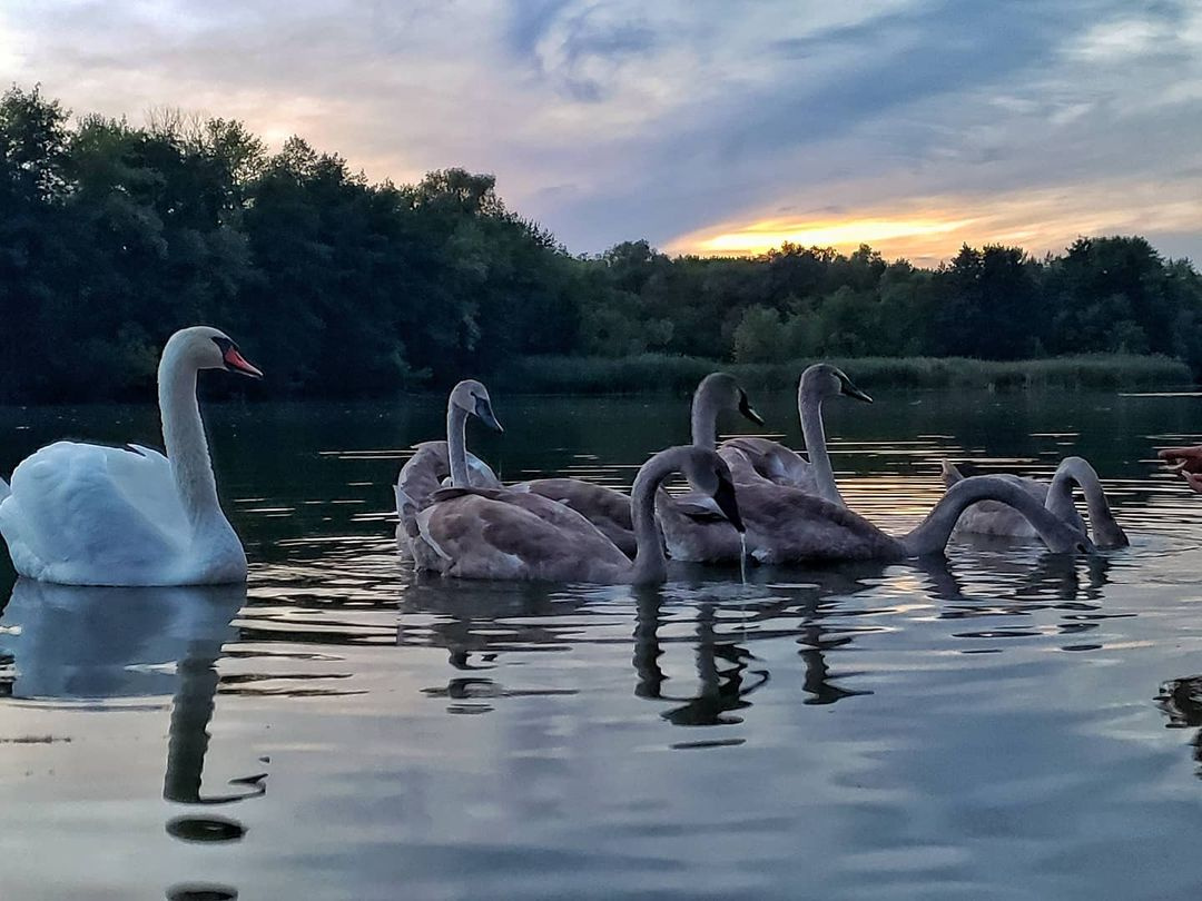 Озеро подпесочное урюпинск фото