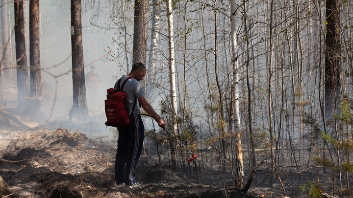 В Тюменской области ищут волонтеров, чтобы тушить лесные пожары