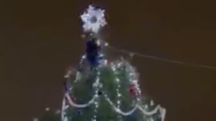 Дебошир на спор залез на городскую елку и рухнул с нее вместе с украшениями. Видео