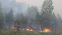 В Пермском крае произошел крупнейший за шесть лет лесной пожар. Фото со спутника