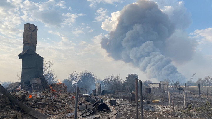 В Самарской области огонь перекинулся на Бузулукский сосновый бор