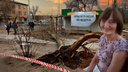 «Виновных не нашли»: в Волгограде закрыли уголовное дело по факту гибели женщины от падения 15-метрового тополя