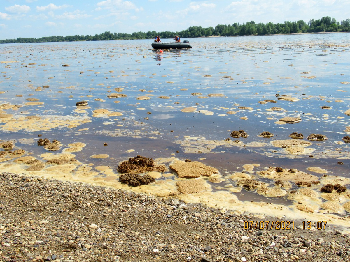 Из-за загрязнений вода пенится Из-за загрязнений вода пенится