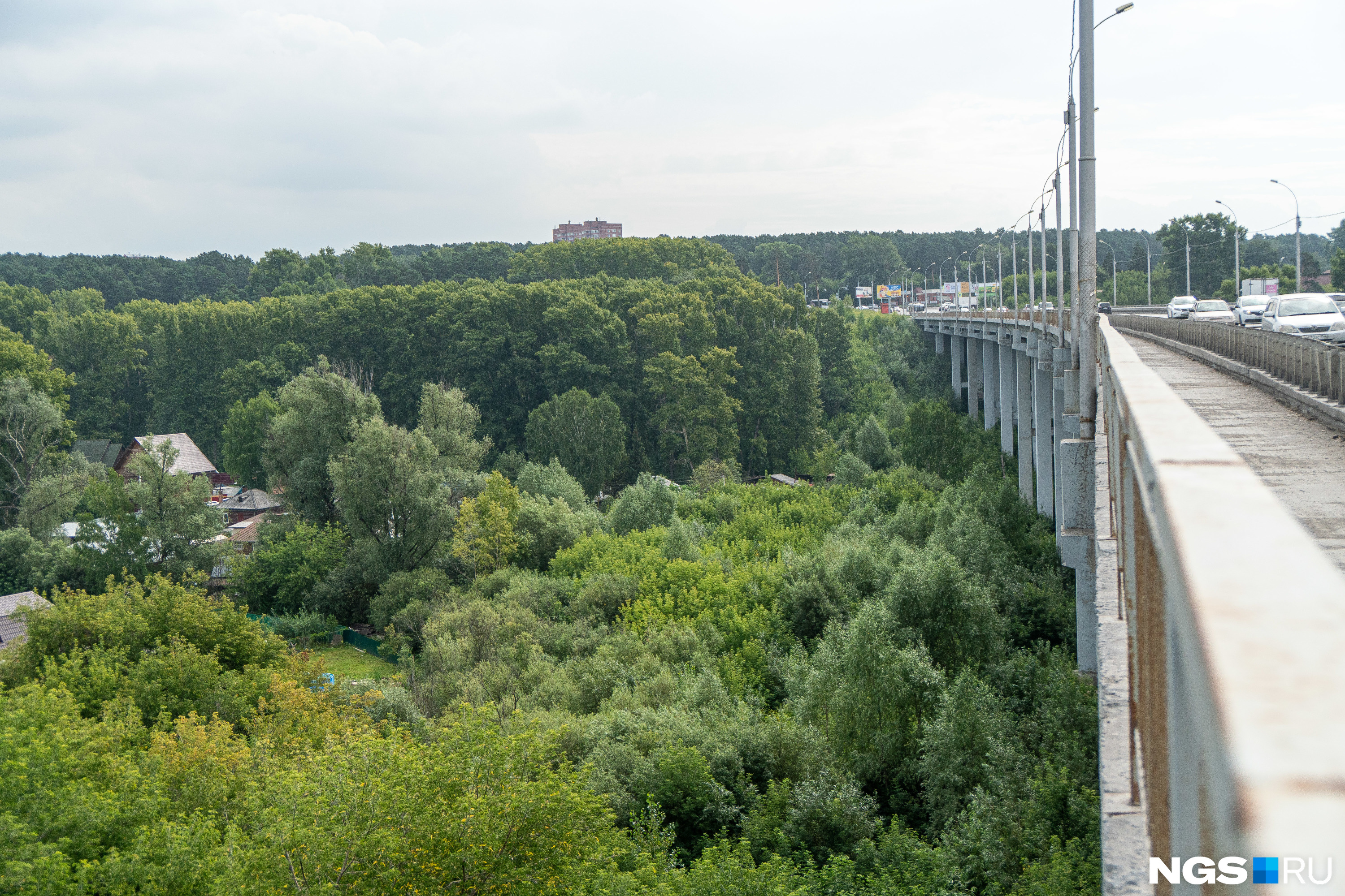 Река плющиха