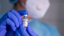 Введет ли Ростовская область обязательную вакцинацию от COVID-19? Ответ правительства