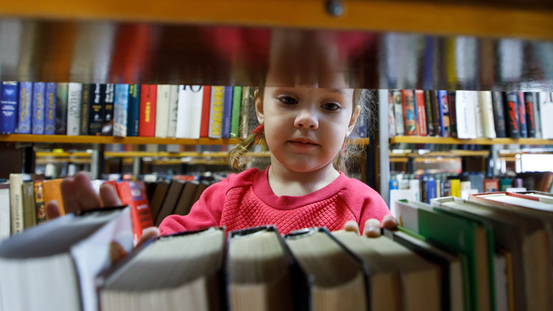 В Волгограде волонтеры собирают книги для сельских библиотек