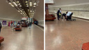 Полицейские скрутили кричащего новосибирца на станции метро <nobr class="_">«Заельцовская» —</nobr> видео задержания