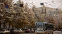 В двух регионах Сибири выпал снег. Дойдет ли холод до Новосибирска? Синоптики дали прогноз