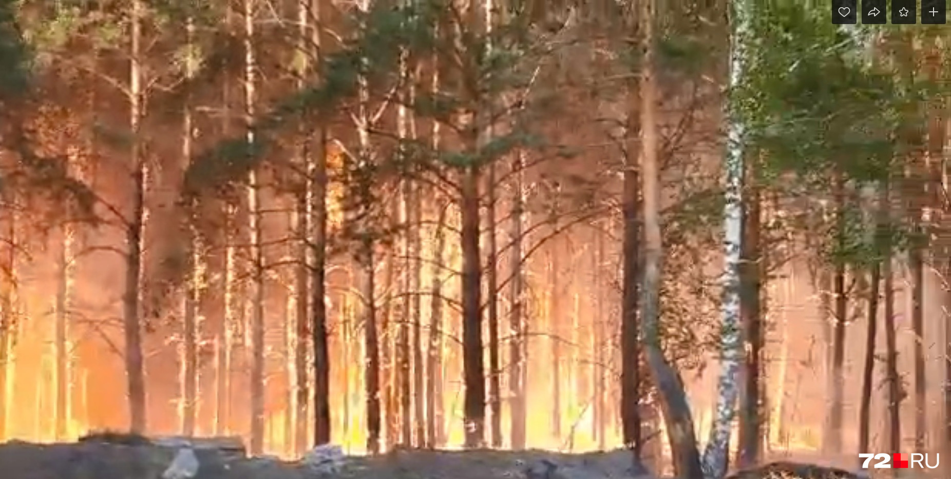 Пожар охватил лес, и затем были зафиксированы серьезные пожары частных домов