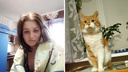 Более 27 тысяч человек потребовали возбудить уголовное дело из-за убийства кота в Северодвинске