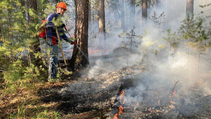 «Здесь километровые полосы сухих дров!»: екатеринбургские волонтеры рассказали, как разгораются лесные пожары
