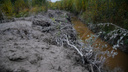 Будто черно-белый эффект в фотошопе: очередное загрязнение бетоном возле реки Юрас