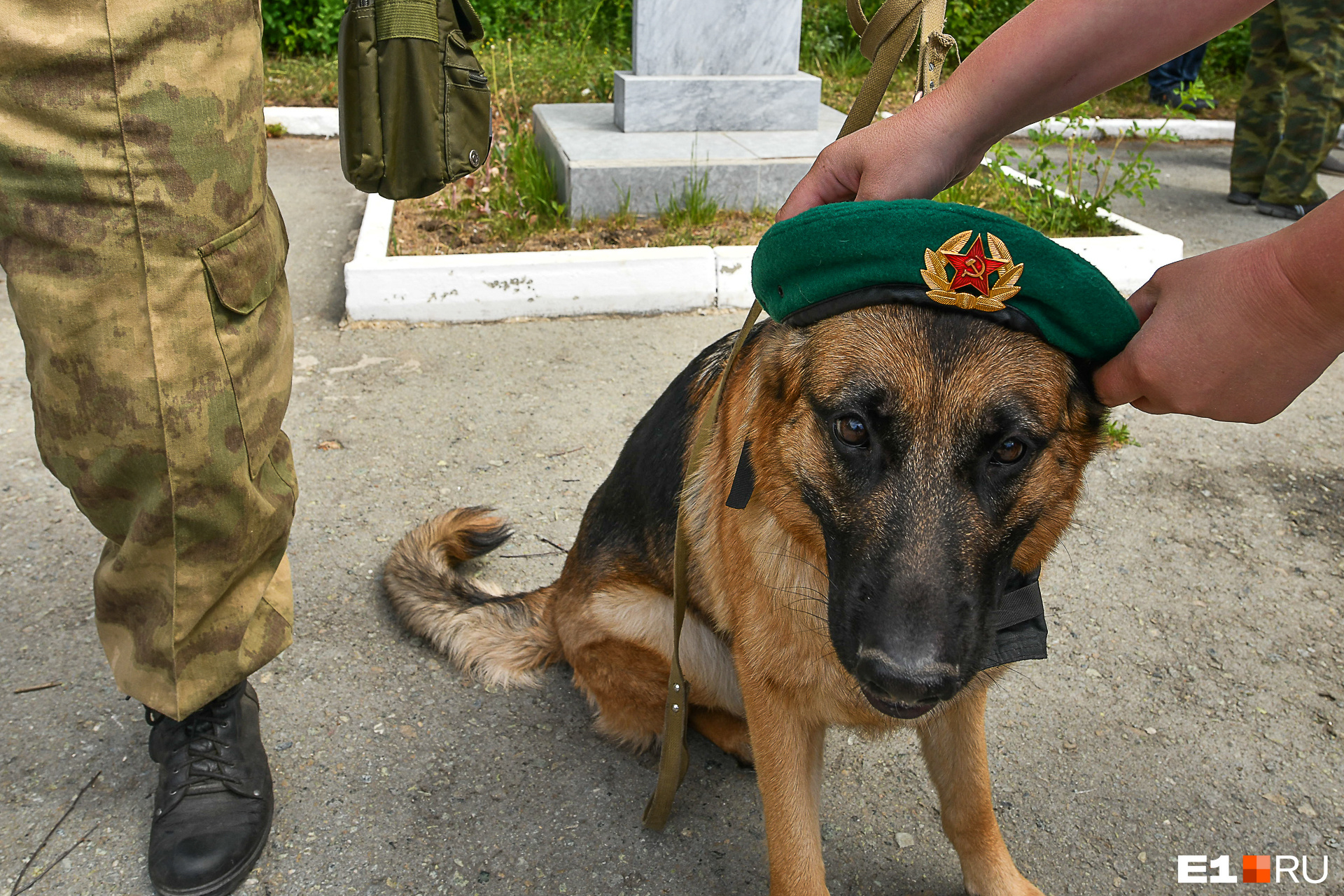 Собаки занимают особое место в пограничной службе