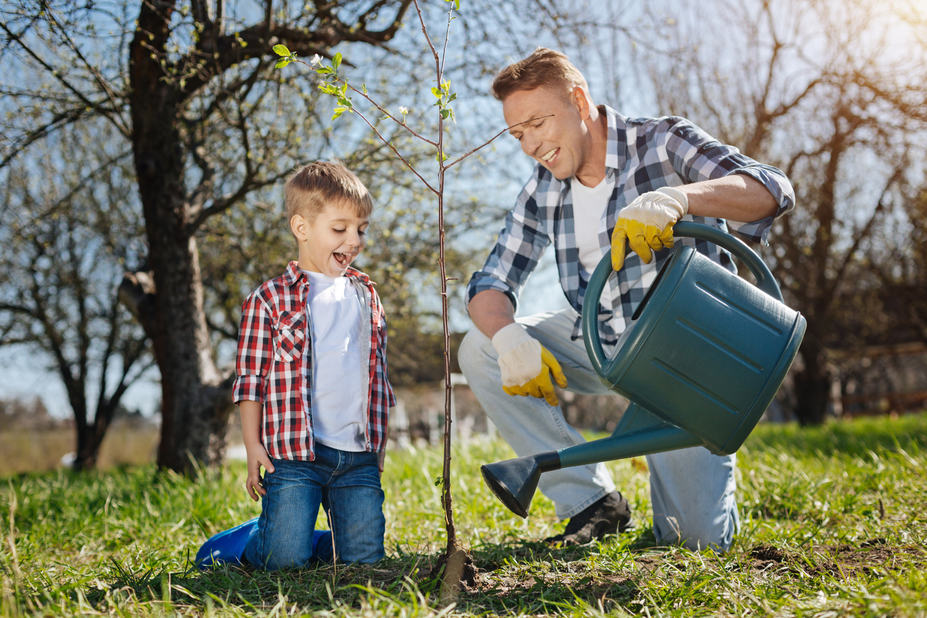 Сын несет отца крокус. Отец и сын сажают дерево. Мужчина с детьми в саду. Папа в саду. Син и папа сажает дерево.