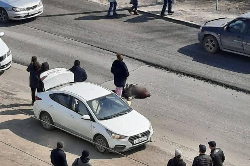 Лада на хилокской новосибирск