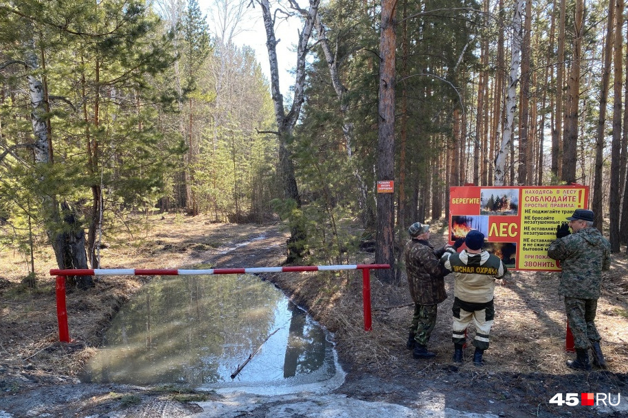 Картинки посещение леса запрещено