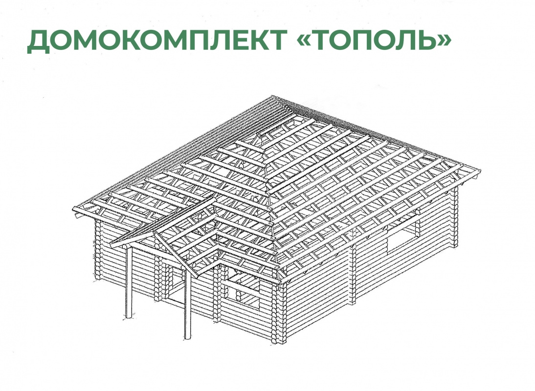 Русская мечта курганская область зовет проект