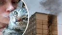 «Жутко кашлял и упал на колени»: пожарный бросился в задымленный дом, чтобы спасти котенка