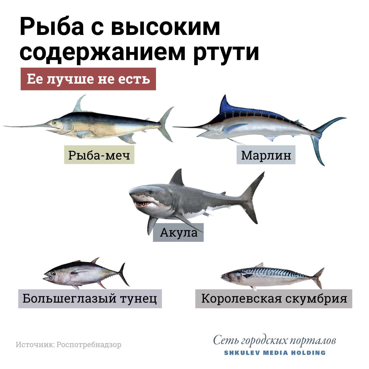 Северные рыбы России: названия, список с фото, интересные факты