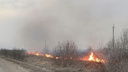 Власти — о пожарах в Ростовском районе: «Это поджог»