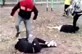 ���� ���������� ��������� �������� ���������� � ����� ���� �����