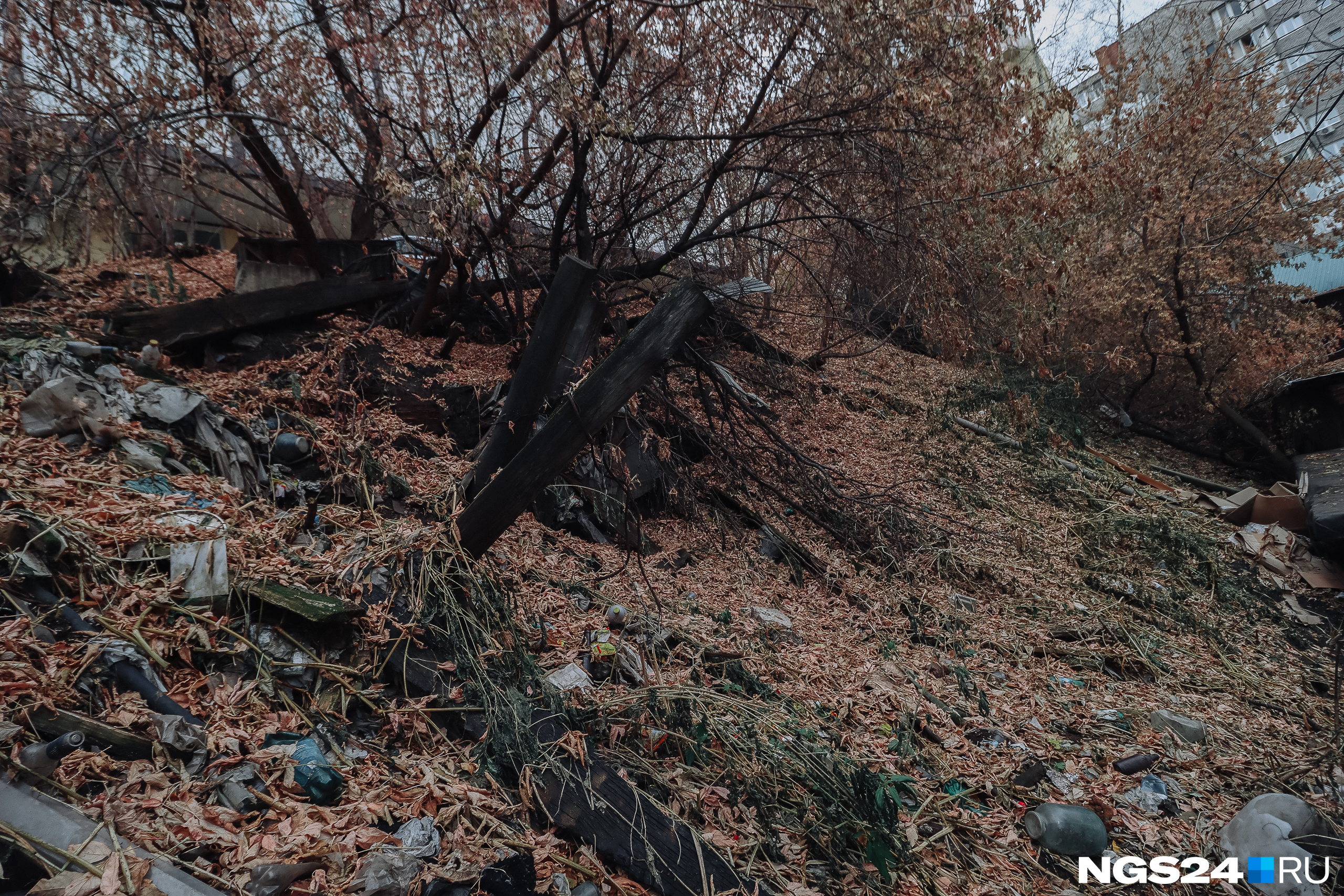 А вот запущенность видна сразу А вот запущенность видна сразу